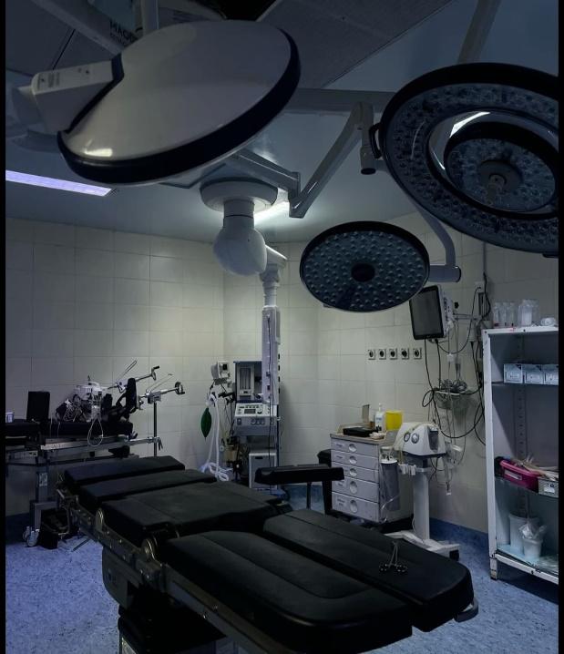Plastic & Aesthetic Surgery (2)